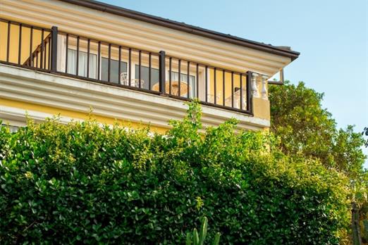 cópia de cr_08597.jpg