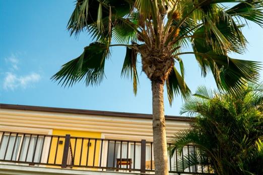 cópia de cr_08604.jpg