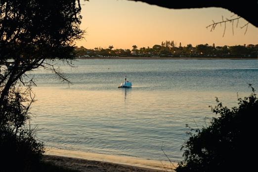 cópia de uni-57.jpg