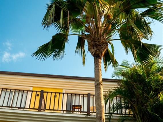 cópia de cr_08604.jpg