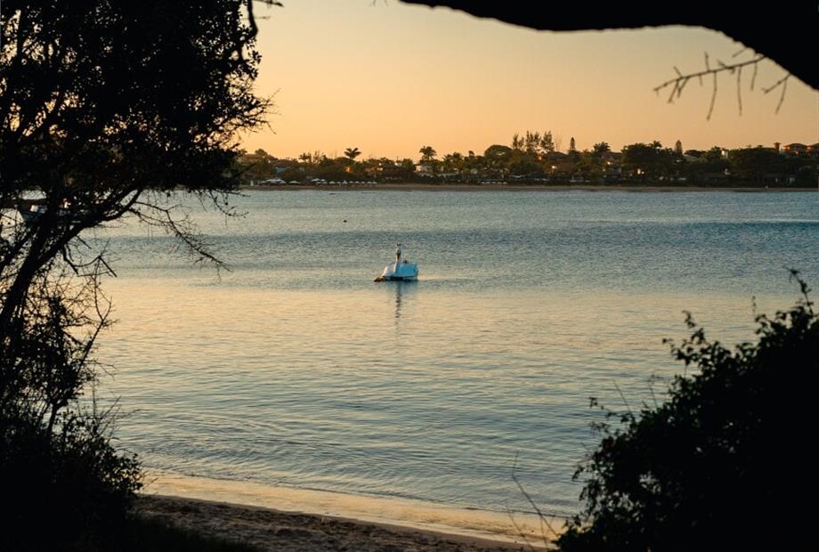 cópia de uni-57.jpg