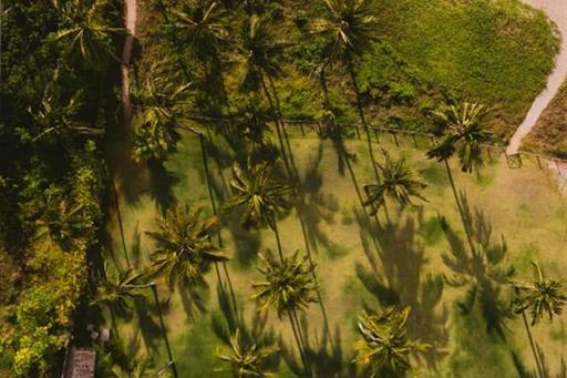 whatsapp image 2025-12-11 at 10.12.01 (1).jpeg