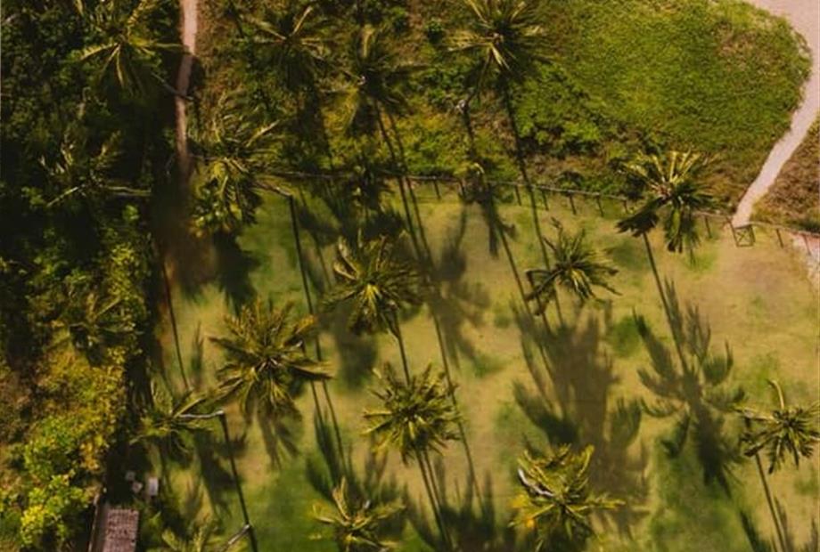 whatsapp image 2025-12-11 at 10.12.01 (1).jpeg