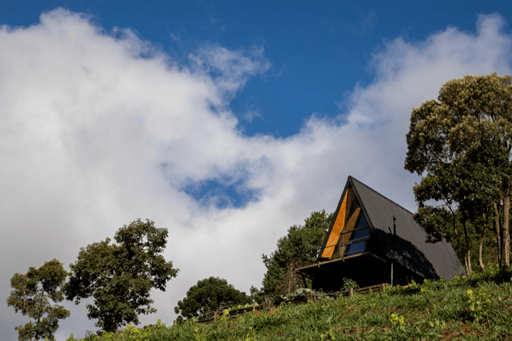 captura de tela 2023-10-19 140140.png