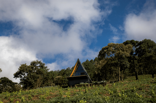 captura de tela 2023-10-19 140105.png