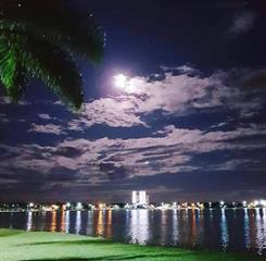 whatsapp image 2024-05-17 at 11.42.38.jpeg