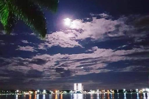 whatsapp image 2024-05-17 at 11.42.38.jpeg