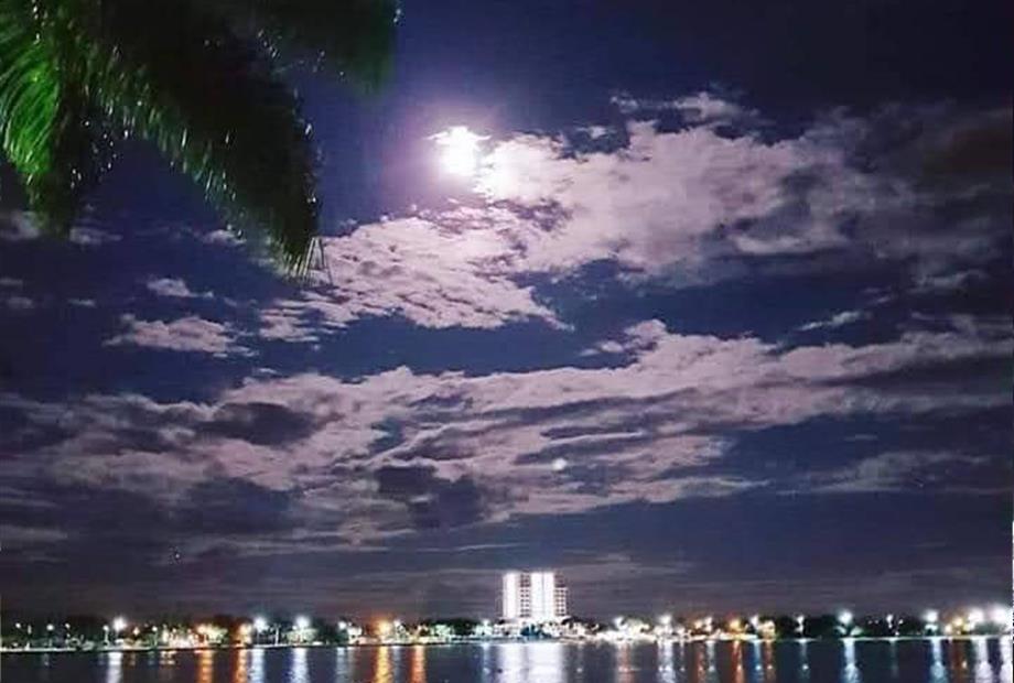 whatsapp image 2024-05-17 at 11.42.38.jpeg