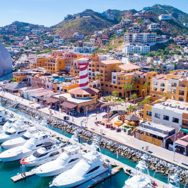 tlctop1 (1).jpg