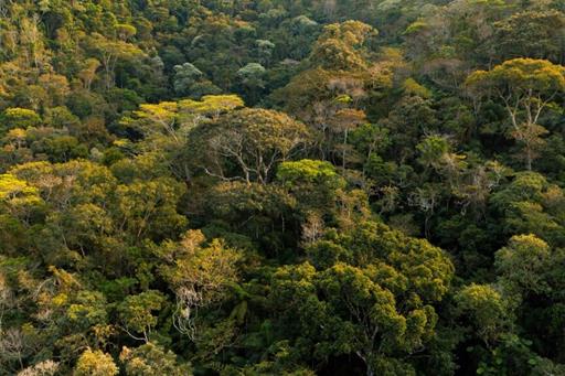 cópia de dji_20240905080426_0316_d-hdr.jpg