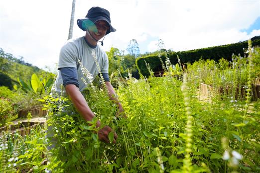 cópia de rbc00420.jpg