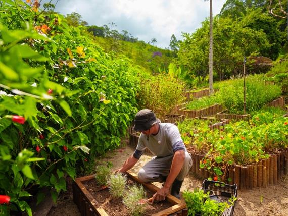 cópia de rbc00378.jpg