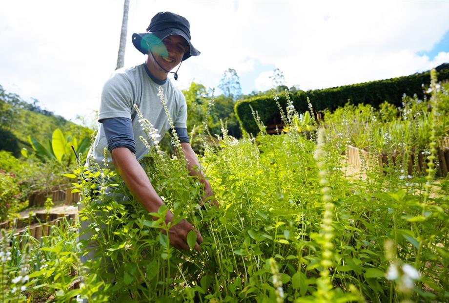 cópia de rbc00420.jpg