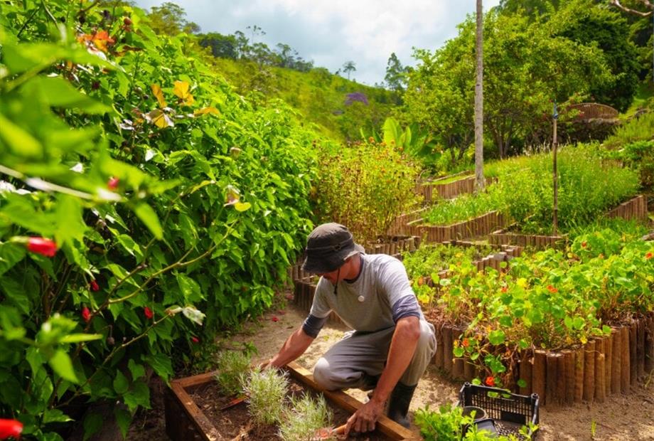 cópia de rbc00378.jpg