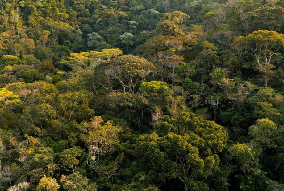 cópia de dji_20240905080426_0316_d-hdr.jpg