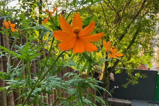 whatsapp image 2022-12-22 at 12.33.57.jpeg