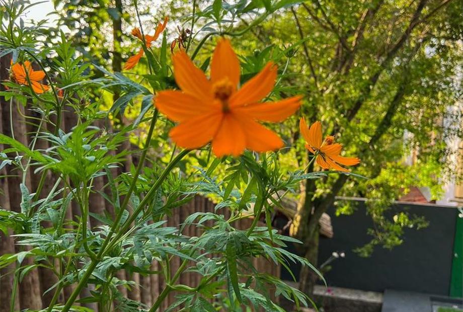 whatsapp image 2022-12-22 at 12.33.57.jpeg