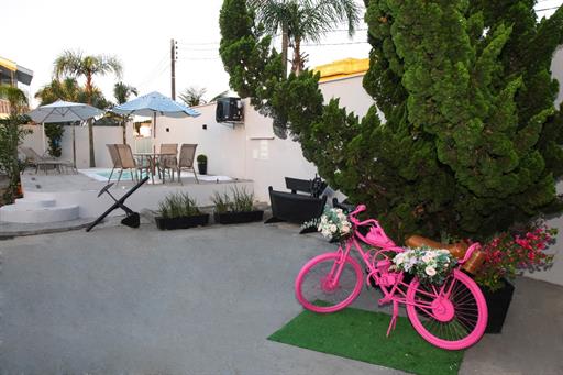 whatsapp image 2025-12-20 at 20.37.11 (12).jpeg