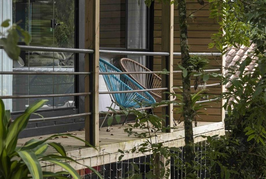 dsc_6250 - cópia.jpeg