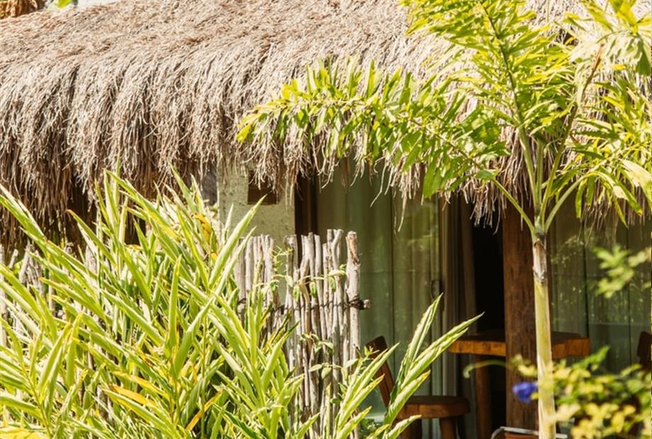 whatsapp image 2026-01-09 at 11.25.53.jpeg