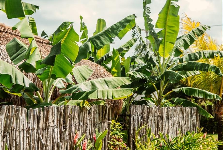 whatsapp image 2026-01-09 at 11.29.34.jpeg