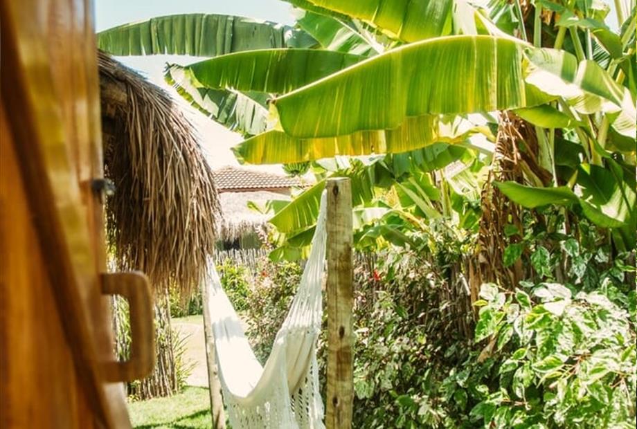 whatsapp image 2026-01-09 at 11.15.26.jpeg