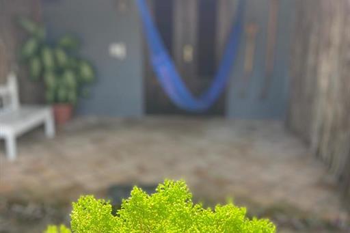 whatsapp image 2024-01-10 at 23.51.01.jpeg