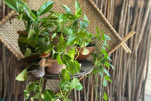 whatsapp image 2024-01-10 at 23.51.02.jpeg