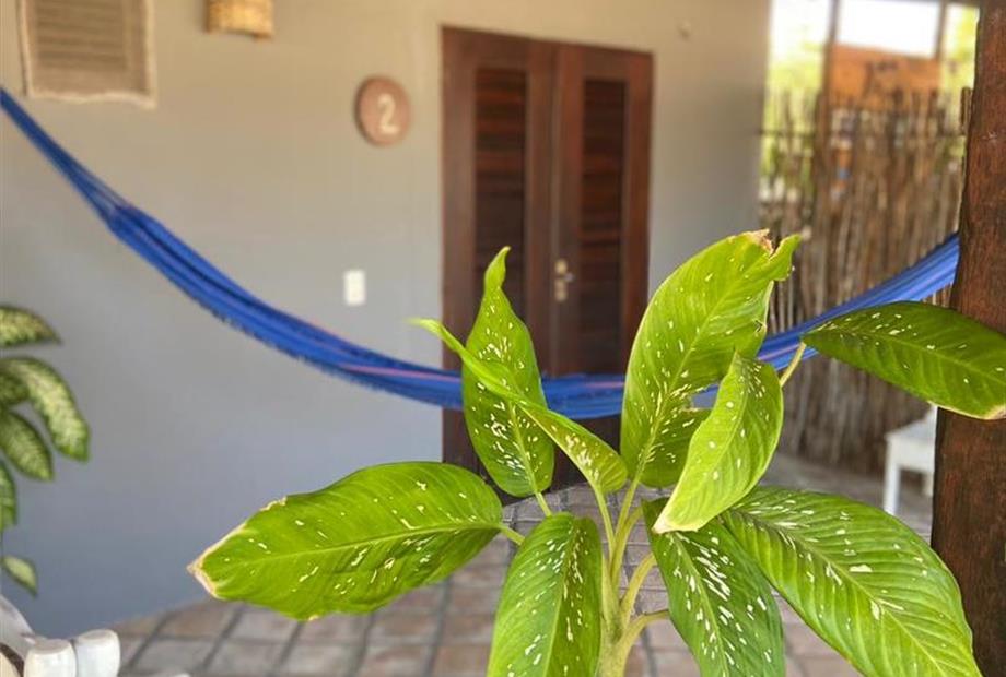 whatsapp image 2024-01-10 at 23.51.00 (1).jpeg