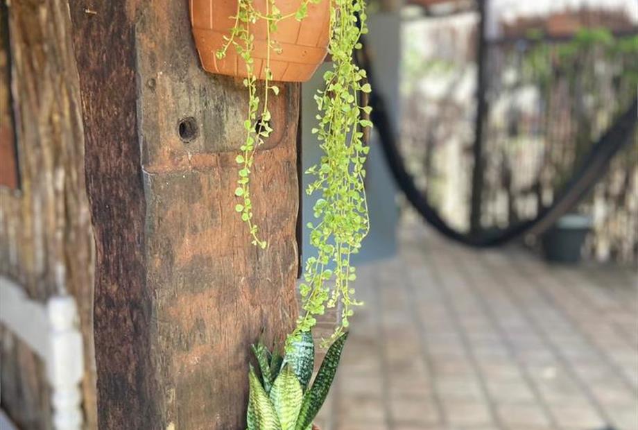 whatsapp image 2024-01-10 at 23.50.57.jpeg