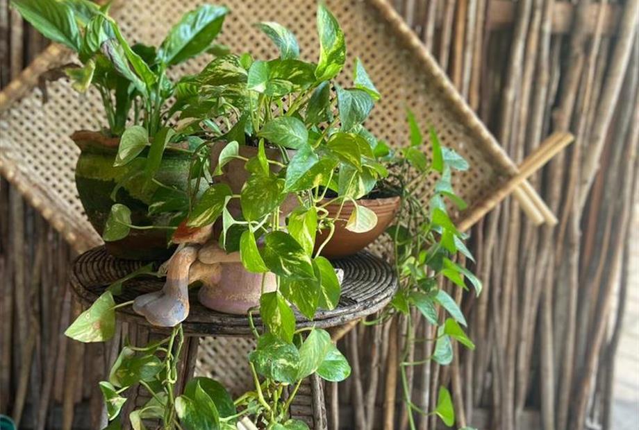 whatsapp image 2024-01-10 at 23.51.02.jpeg