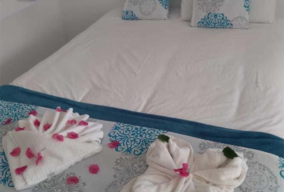 whatsapp image 2024-08-17 at 20.26.37 (2).jpeg