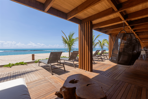 coralli 1 omnibees.png