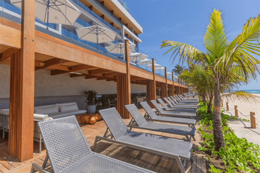 coralli 4 omnibees.png