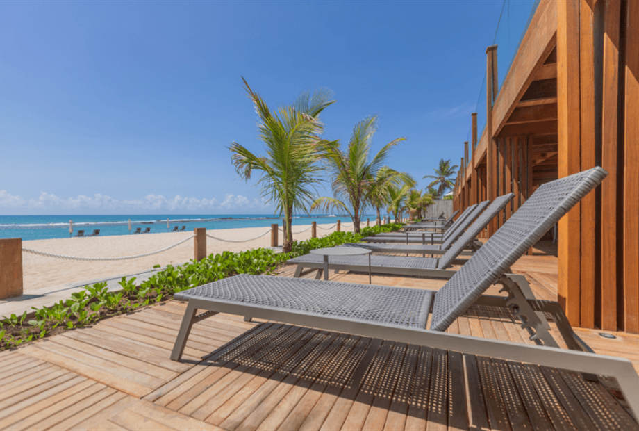 coralli 3 omnibees.png