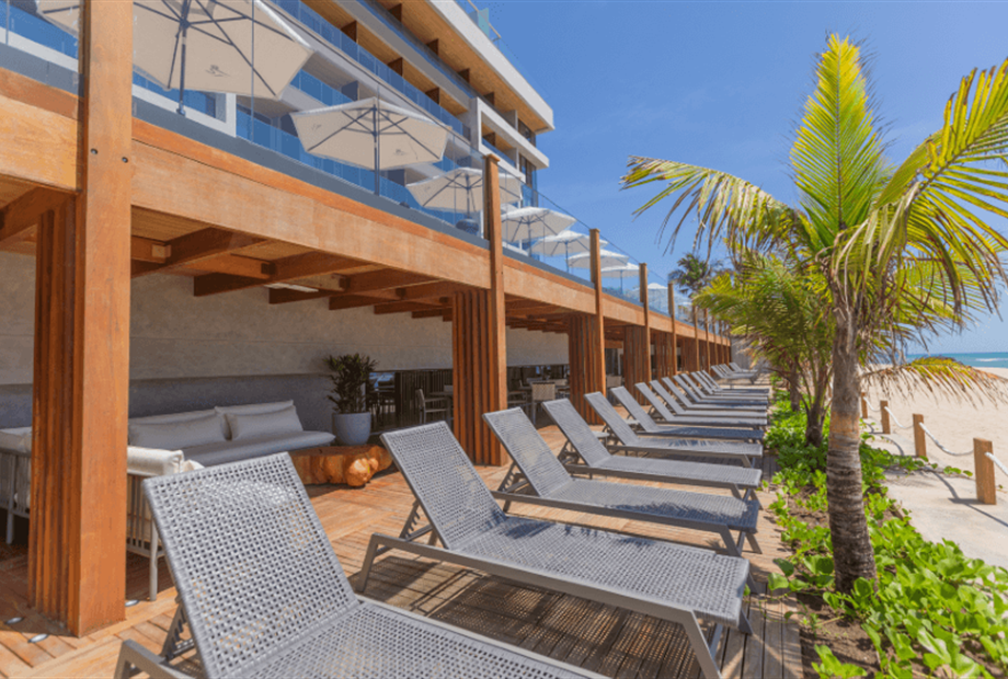 coralli 4 omnibees.png