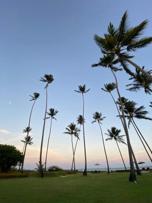 42b19a1b-0fa1-4bf8-abb2-0caeb882579f.jpg