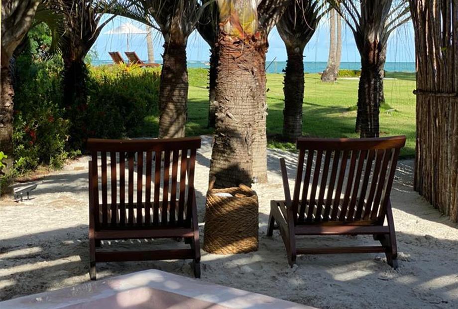 whatsapp image 2023-04-28 at 15.43.36 (1).jpeg