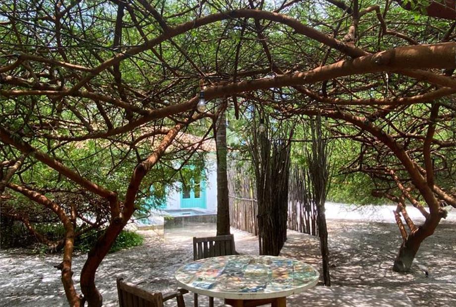 whatsapp image 2023-05-04 at 21.47.32.jpeg