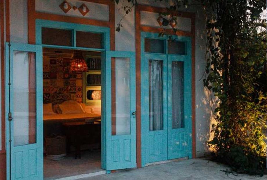 palmeira triangular (2).jpeg