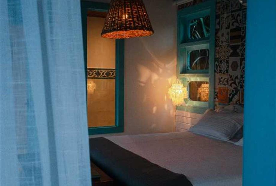 palmeira triangular (3).jpeg