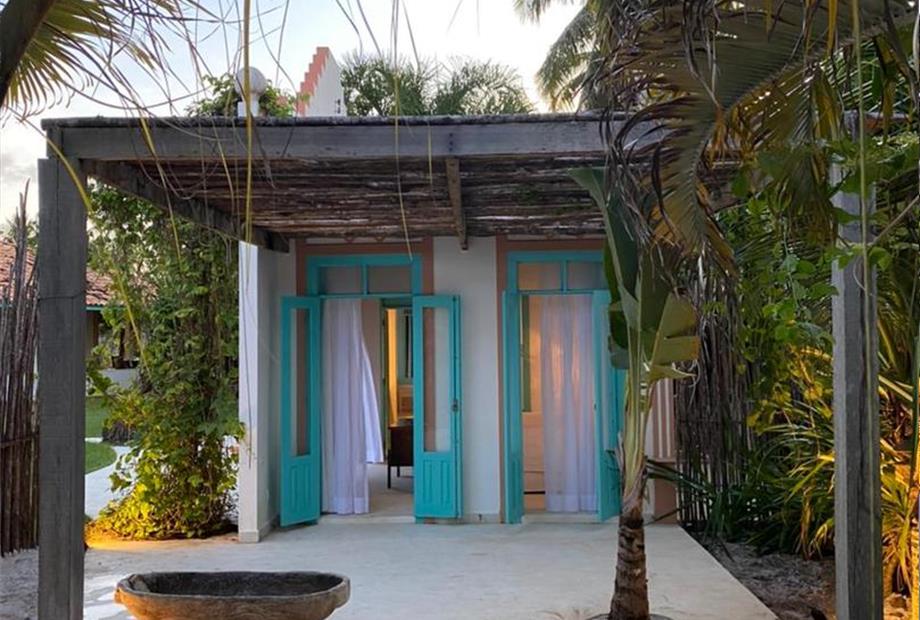 palmeira triangular (95).jpeg