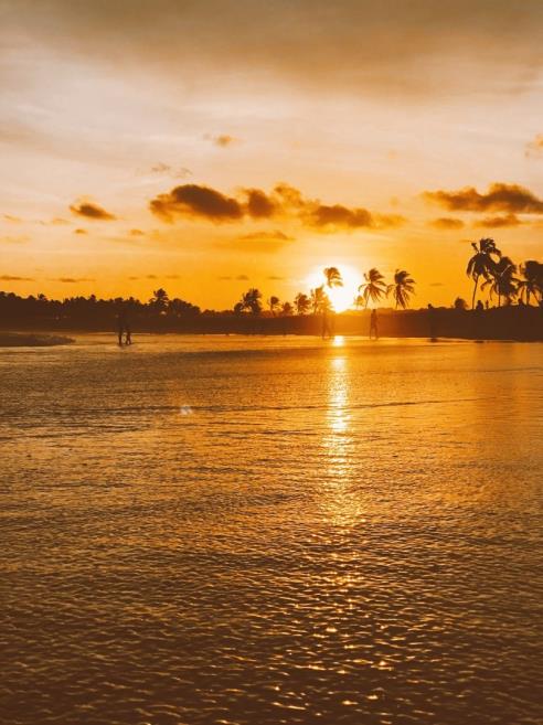 pôr do sol coqueiral.jpg