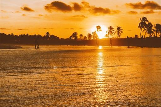 pôr do sol coqueiral.jpg