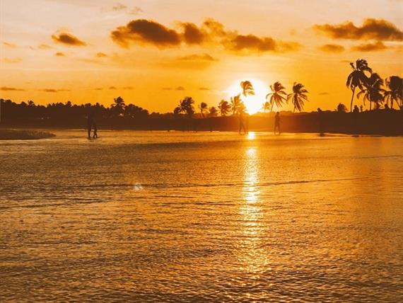 pôr do sol coqueiral.jpg