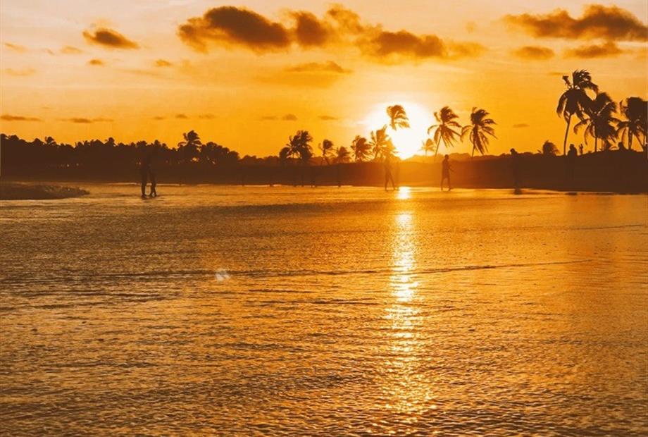 pôr do sol coqueiral.jpg