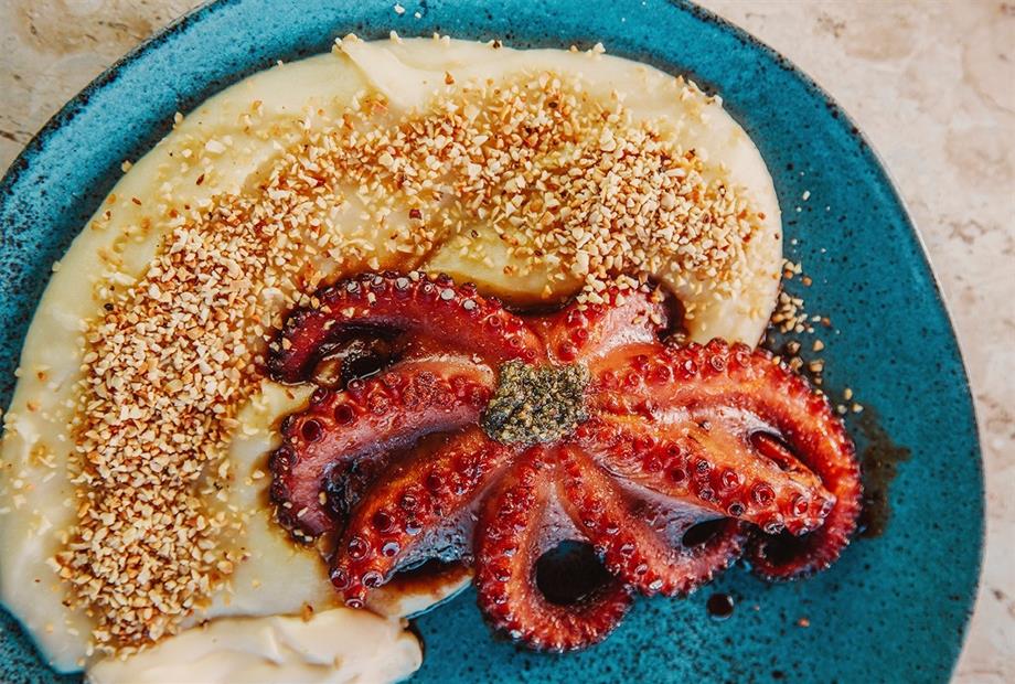 prato fateixa (9).jpg