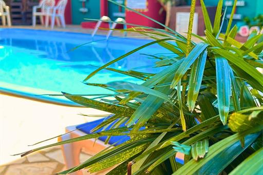 whatsapp image 2025-11-26 at 18.10.43 (2).jpeg