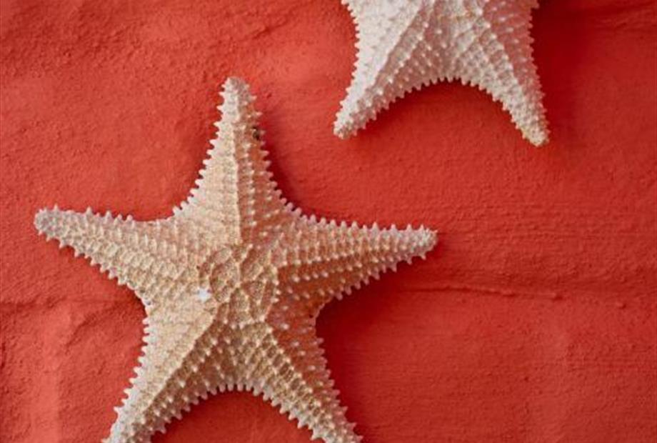 Quarto Quádruplo-11.jpg