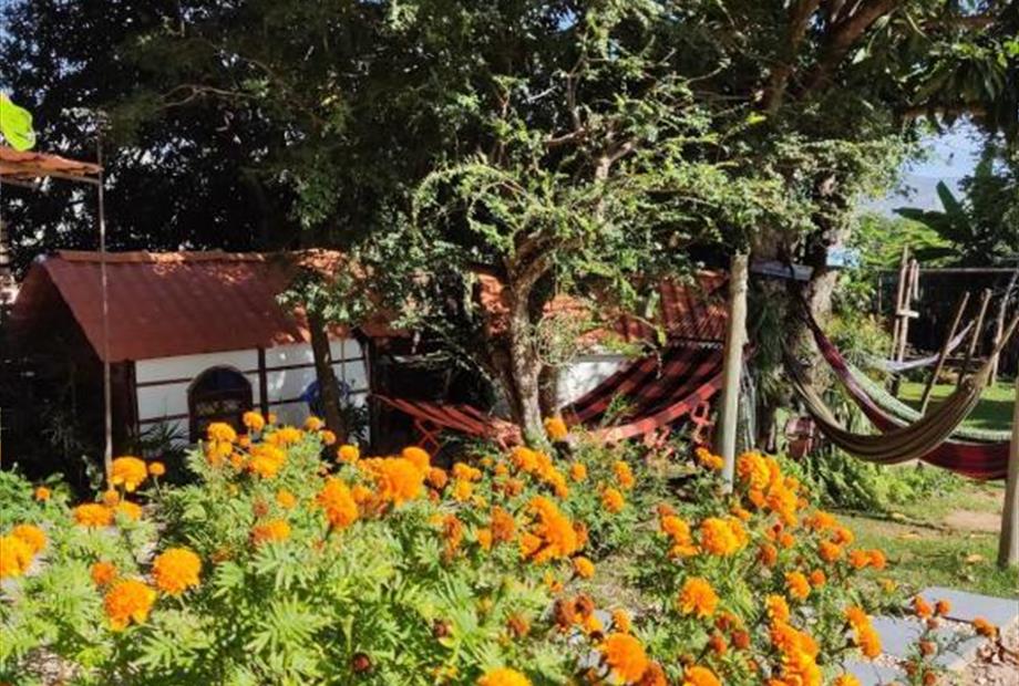 Casa de 7 Quartos-14.jpg